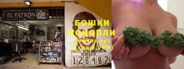 ПСИЛОЦИБИНОВЫЕ ГРИБЫ Балабаново