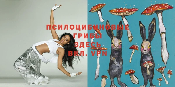 ПСИЛОЦИБИНОВЫЕ ГРИБЫ Балабаново